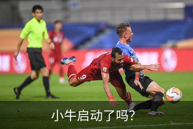 小牛启动了吗？